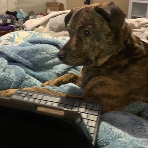 Meet your Posher, Lori